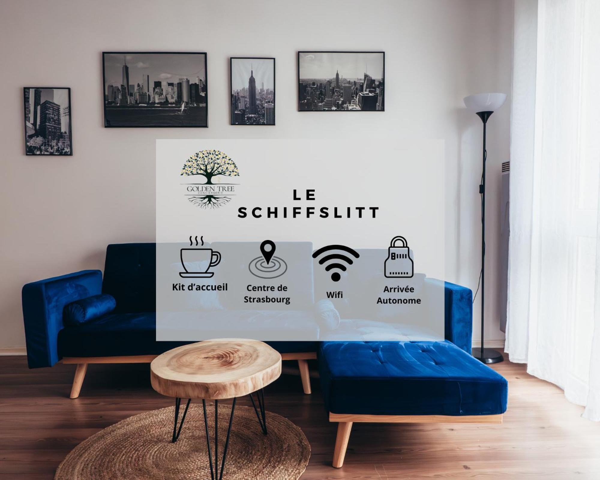 Апартаменти Le Schiffslitt - Hyper-Centre, Proche Des Quais Страсбург Екстер'єр фото